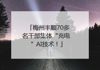 梅州丰顺70多名干部集体“充电”AI技术！