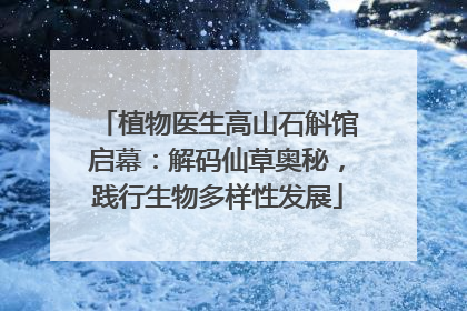 植物医生高山石斛馆启幕：解码仙草奥秘，践行生物多样性发展