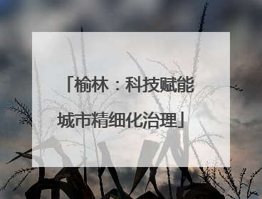 榆林：科技赋能城市精细化治理