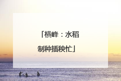 横峰：水稻制种插秧忙