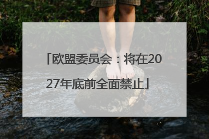 欧盟委员会：将在2027年底前全面禁止