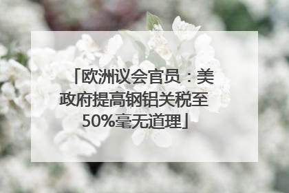 欧洲议会官员：美政府提高钢铝关税至50%毫无道理