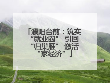 濮阳台前：筑实“就业圈” 引回“归巢雁” 激活“家经济”
