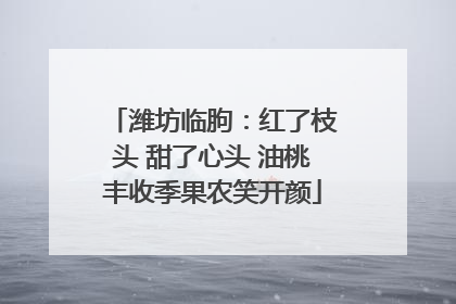 潍坊临朐：红了枝头 甜了心头 油桃丰收季果农笑开颜