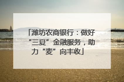 潍坊农商银行：做好“三夏”金融服务，助力“麦”向丰收