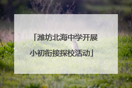 潍坊北海中学开展小初衔接探校活动