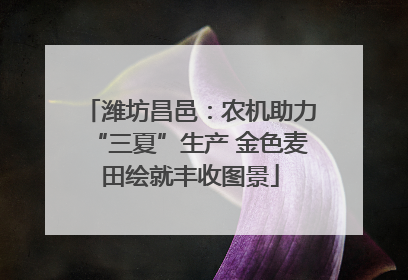 潍坊昌邑：农机助力“三夏”生产 金色麦田绘就丰收图景