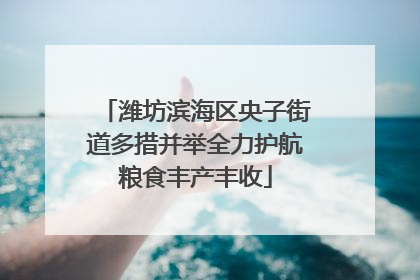 潍坊滨海区央子街道多措并举全力护航粮食丰产丰收