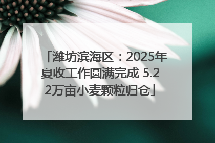 潍坊滨海区：2025年夏收工作圆满完成 5.22万亩小麦颗粒归仓