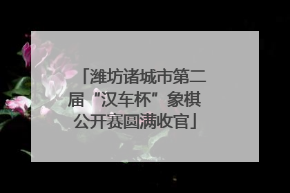 潍坊诸城市第二届“汉车杯”象棋公开赛圆满收官