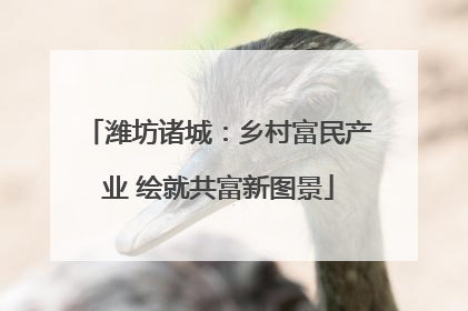 潍坊诸城：乡村富民产业 绘就共富新图景