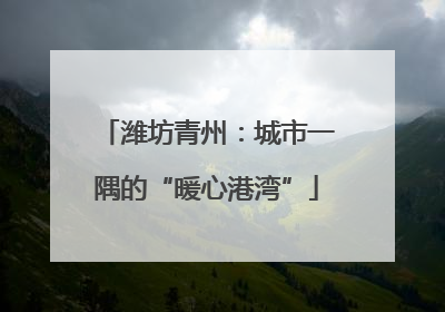 潍坊青州：城市一隅的“暖心港湾”