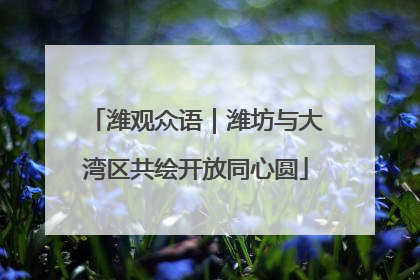 潍观众语｜潍坊与大湾区共绘开放同心圆