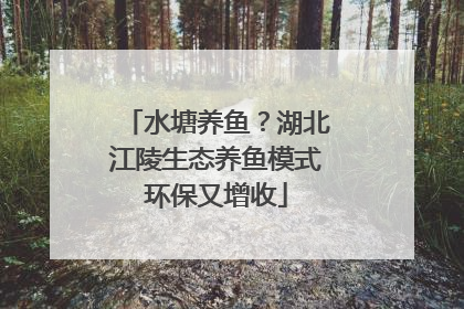 水塘养鱼？湖北江陵生态养鱼模式环保又增收