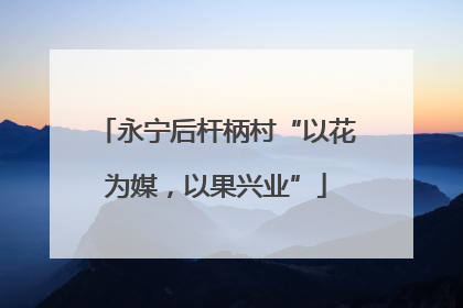 永宁后杆柄村“以花为媒，以果兴业”