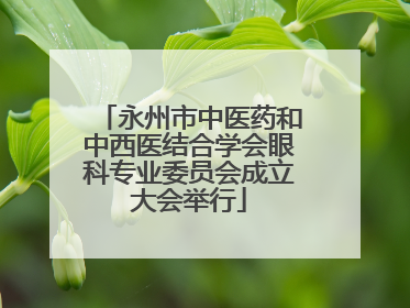 永州市中医药和中西医结合学会眼科专业委员会成立大会举行
