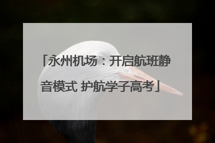 永州机场：开启航班静音模式 护航学子高考