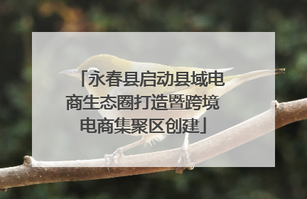 永春县启动县域电商生态圈打造暨跨境电商集聚区创建