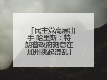 民主党高层出手 哈里斯：特朗普政府刻意在加州挑起混乱
