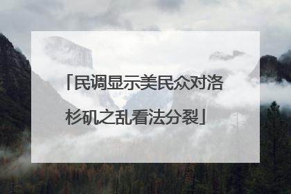 民调显示美民众对洛杉矶之乱看法分裂