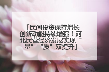 民间投资保持增长 创新动能持续增强！河北民营经济发展实现“量”“质”双提升