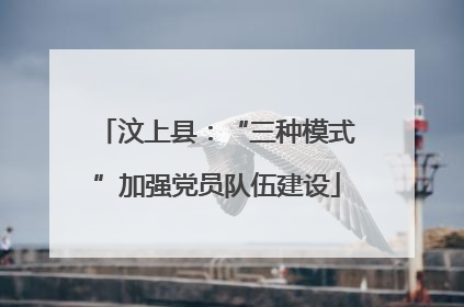 汶上县：“三种模式”加强党员队伍建设