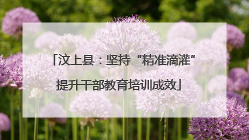 汶上县：坚持“精准滴灌” 提升干部教育培训成效