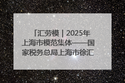 汇劳模｜2025年上海市模范集体——国家税务总局上海市徐汇区税务局第一税务所