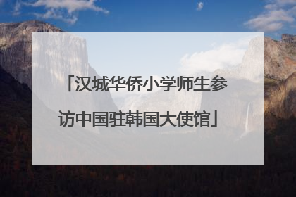 汉城华侨小学师生参访中国驻韩国大使馆