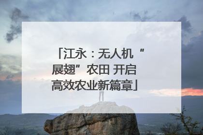 江永：无人机“展翅”农田 开启高效农业新篇章
