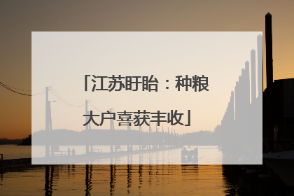 江苏盱眙：种粮大户喜获丰收