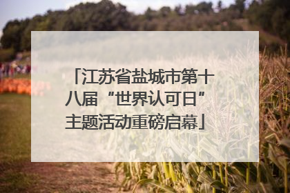 江苏省盐城市第十八届“世界认可日”主题活动重磅启幕