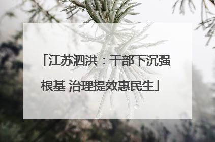 江苏泗洪：干部下沉强根基 治理提效惠民生