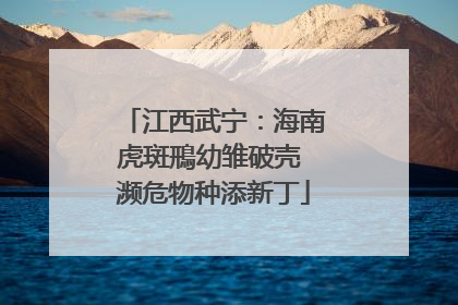 江西武宁：海南虎斑鳽幼雏破壳 濒危物种添新丁