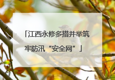 江西永修多措并举筑牢防汛“安全网”