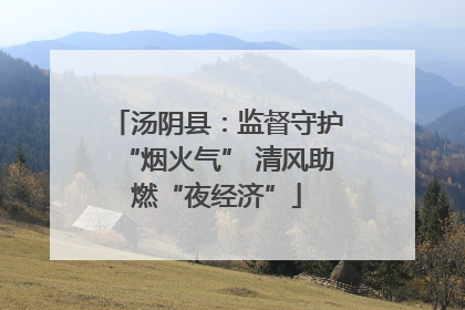 汤阴县：监督守护“烟火气” 清风助燃“夜经济”
