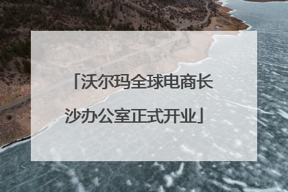 沃尔玛全球电商长沙办公室正式开业