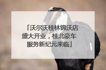 沃尔沃桂林锦沃店盛大开业，桂北豪车服务新纪元来临