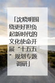 沈晓明围绕更好担负起新时代的文化使命开展“十五五”规划专题调研