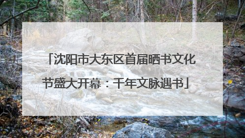 沈阳市大东区首届晒书文化节盛大开幕：千年文脉遇书