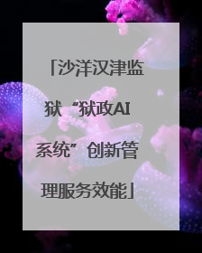沙洋汉津监狱“狱政AI系统”创新管理服务效能