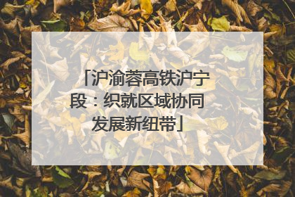 沪渝蓉高铁沪宁段：织就区域协同发展新纽带
