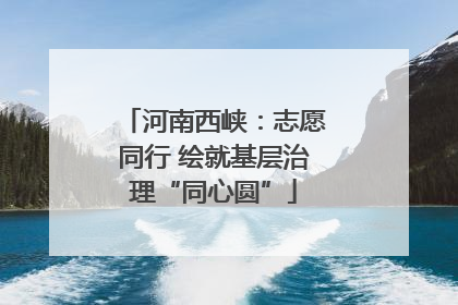 河南西峡：志愿同行 绘就基层治理“同心圆”