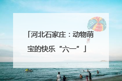 河北石家庄：动物萌宝的快乐“六一”