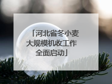 河北省冬小麦大规模机收工作全面启动