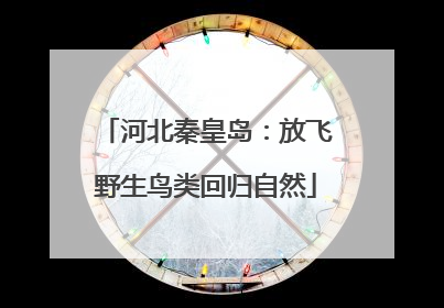 河北秦皇岛：放飞野生鸟类回归自然
