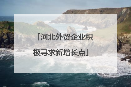 河北外贸企业积极寻求新增长点