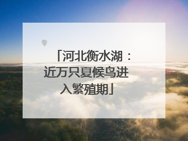 河北衡水湖：近万只夏候鸟进入繁殖期