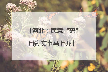 河北：民意“码”上说 实事马上办