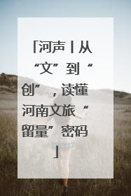 河声丨从“文”到“创”，读懂河南文旅“留量”密码